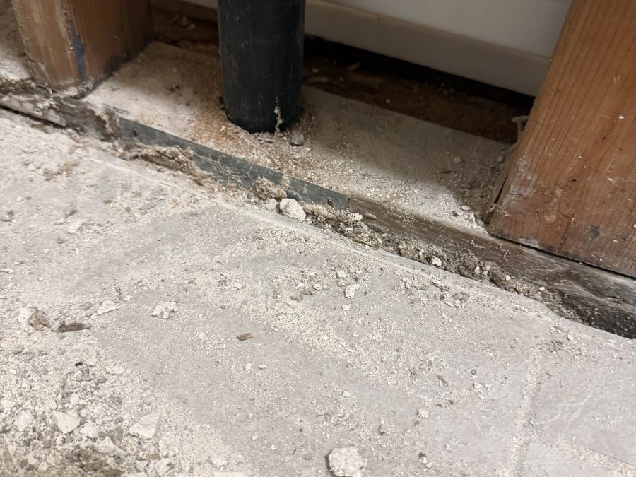 The bottom plate of a wall opened up and still wet